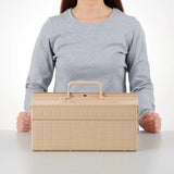 Toyo - Steel Cantilever Toolbox ST-350: Beige