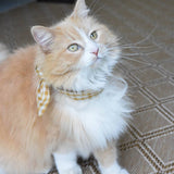 GINGHAM NECKTIES: FOREST GINGHAM / MEDIUM