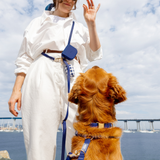 Signature Navy Snap Dog Treat Pouch