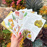 Persian Recipe Collection Cards