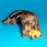 Cotton Crochet Lemon Dog Toy
