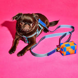 Checkered Vinyl Pouch - Blue/Orange