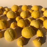 Large Lemon Candle: Lemon / Citrus Peel / Single Lemon