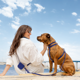 Signature Navy Snap Dog Treat Pouch