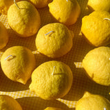 Large Lemon Candle: Lemon / Citrus Peel / Single Lemon