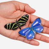 Allie Butterfly Clips in Light Catchers