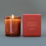 Holiday Candle: Harvest Pumpkin, 12 oz.