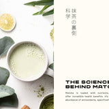 Matcha by Azra Hodza