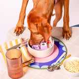 Snackaroni Slow Feeder Insert & Lick Mat