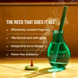 Houseplant by DROPLET The House Scent Reed Diffuser | 150ml
