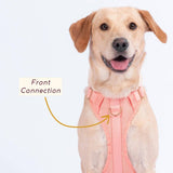 Huggie Harness - Size XS