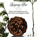 XXMAS TREE - Boy Smells