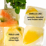 CITRUSH SNIFFER