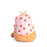 Grandma Berry Ricespud