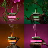 Houseplant by DROPLET Ash & Scent | 64 Incense + Ashtray