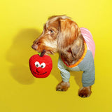 Cotton Crochet Apple Dog Toy
