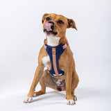 Huggie Harness - Size XS