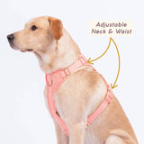 Huggie Harness - Size XS
