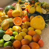 Large Sumo Citrus Candle: Orange / Citrus / Single Sumo
