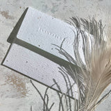 Zebra Cake -Birthday Card