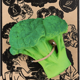 Brucy the Broccoli