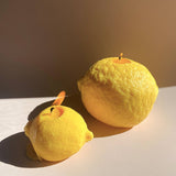 Large Lemon Candle: Lemon / Citrus Peel / Single Lemon