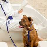 Signature Navy Gingham Waste Bag Holder
