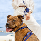 Signature Navy Gingham Waste Bag Holder