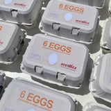 Egg Candles - 6 Pack Box: Eggshell / Cinnamon and Vanilla