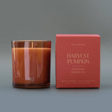 Holiday Candle: Harvest Pumpkin, 12 oz.