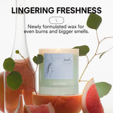 Spa Water Candle 8.5oz - Boy Smells