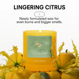 Yuzu Zesty Candle 8.5oz - Boy Smells