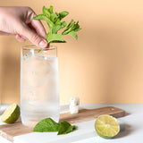 MOJITO Mixology Cubes